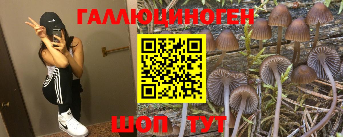 Псилоцибиновые грибы ЛСД  Вход с VPN  Псилоцибиновые грибы мухоморы  Ухта 